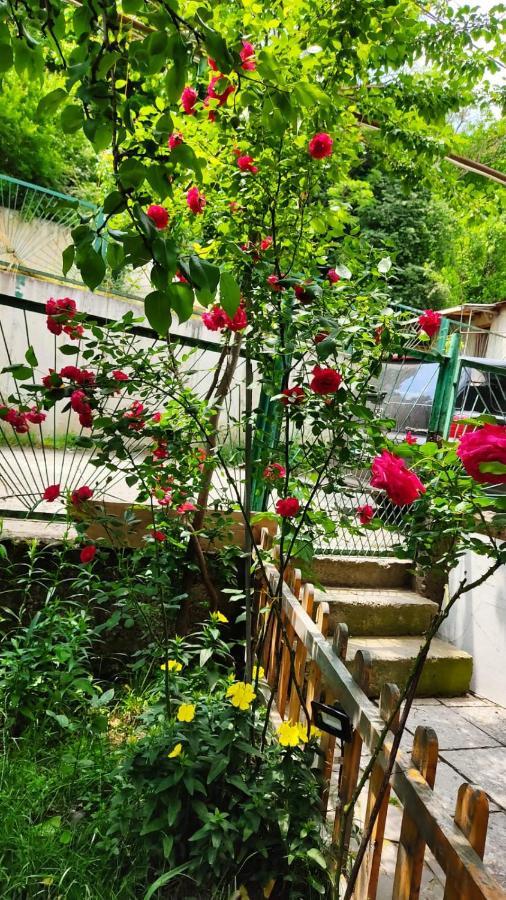 Nest Hotel Bordzjomi Buitenkant foto